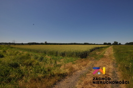 Działka rolna o pow. 4,59 Ha